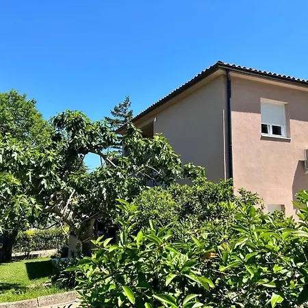 Branko Apartment Banjole